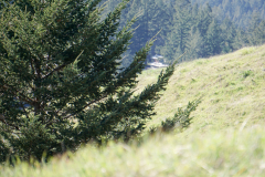 petersCreek-12 petersCreek-12