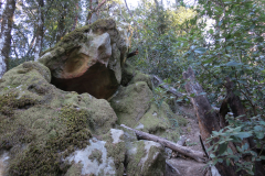 petersCreek-13 petersCreek-13