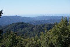 petersCreek-2 petersCreek-2