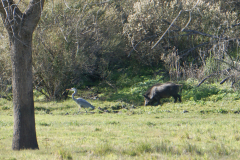 JD_Grant-10 JD_Grant-10