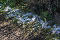 JD_Grant-3 JD_Grant-3