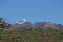 JD_Grant-4 JD_Grant-4