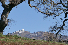 JD_Grant-5 JD_Grant-5