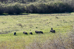 JD_Grant-8 JD_Grant-8