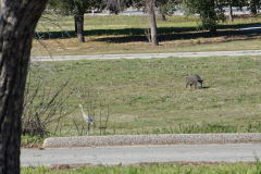 JD_Grant-9 JD_Grant-9