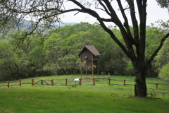 caleroBatInn-5 caleroBatInn-5