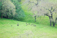 caleroBatInn-9 caleroBatInn-9