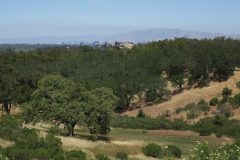 Almaden522-2 Almaden522-2