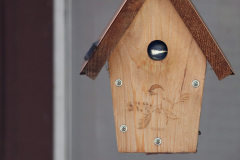 birdhouse-1 birdhouse-1