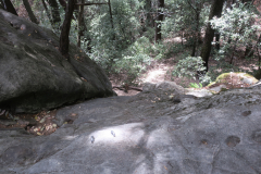 skyline526-5 skyline526-5