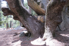 skyline526-6 skyline526-6